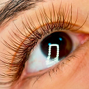 フラットラッシュ