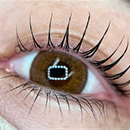 フラットラッシュ